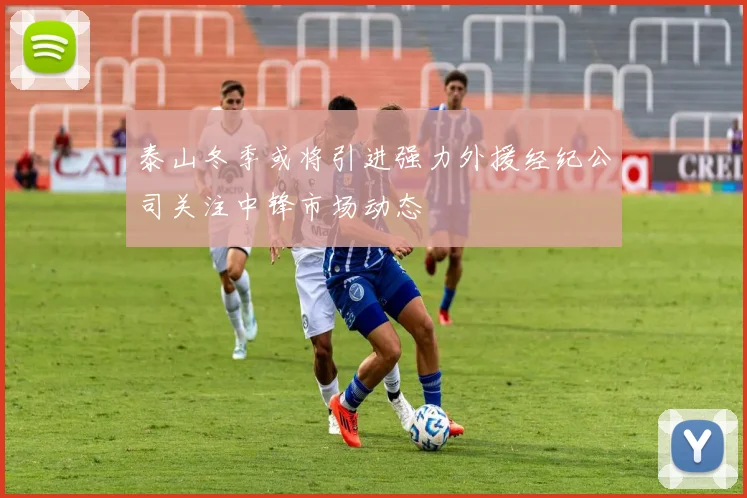 泰山冬季或将引进强力外援经纪公司关注中锋市场动态