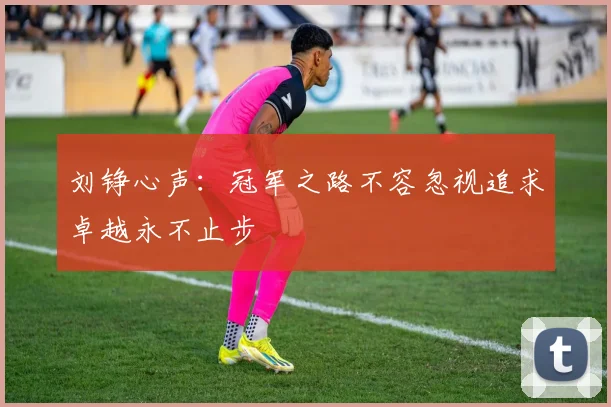 刘铮心声：冠军之路不容忽视追求卓越永不止步