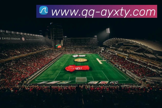 爱游戏体育APP 封面图